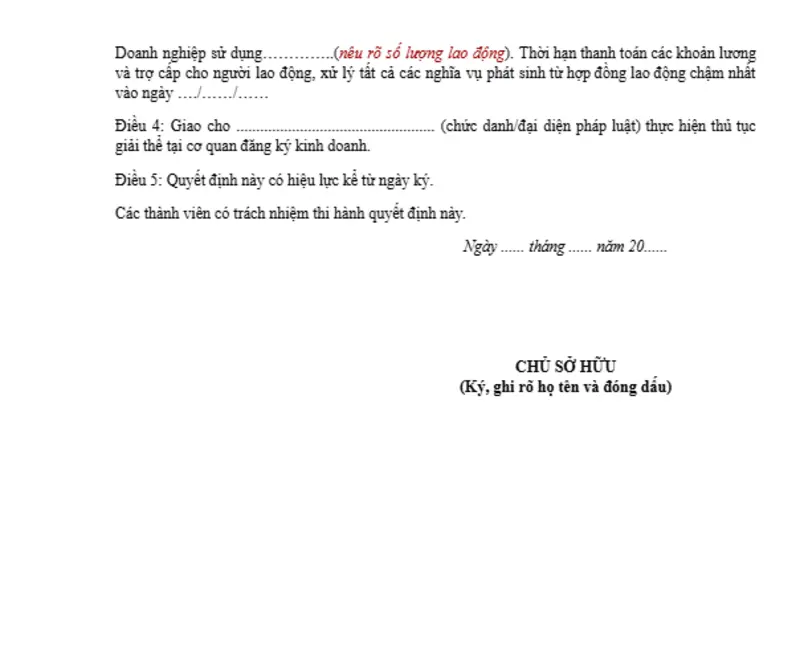 Công ty cần điền đầy đủ các trường thông tin để quyết định đảm bảo hiệu lực pháp lý
