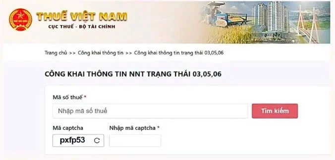 tra cứu th&ocirc;ng tin người nộp thuế trạng th&aacute;i 03, 05, 06 bước 4.1